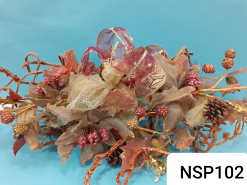 NSP102