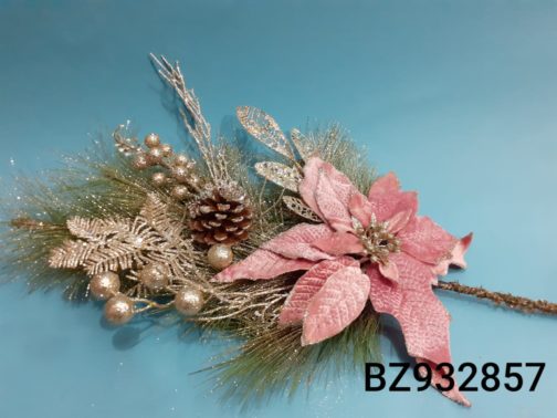 BZ932857